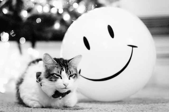 December 2011 Winner